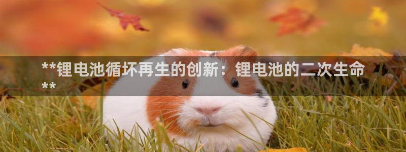 尊龙凯时存款多久到账